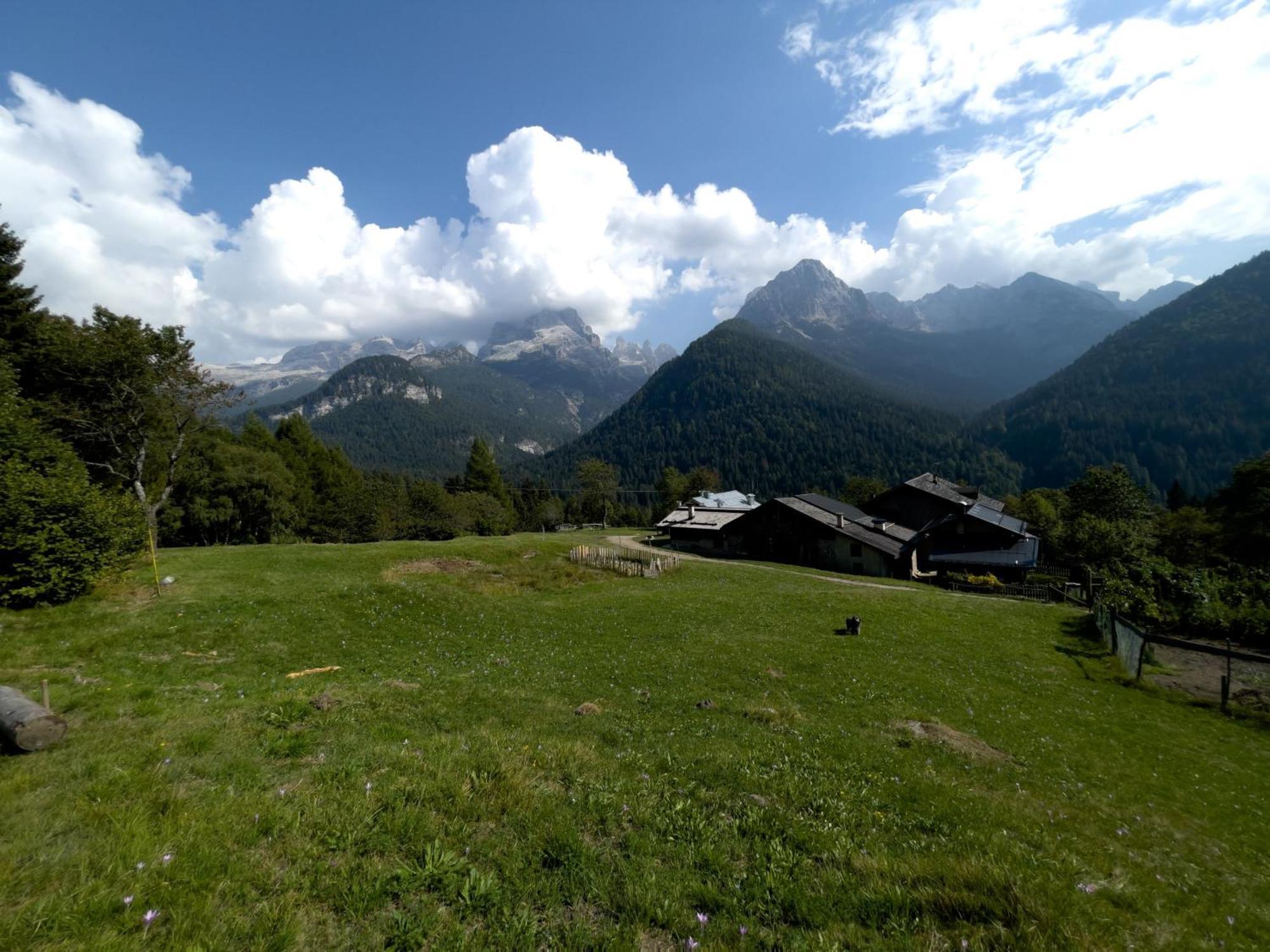 Appartamento Alpina Campiglio